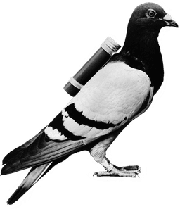 Email carrier pigeon
