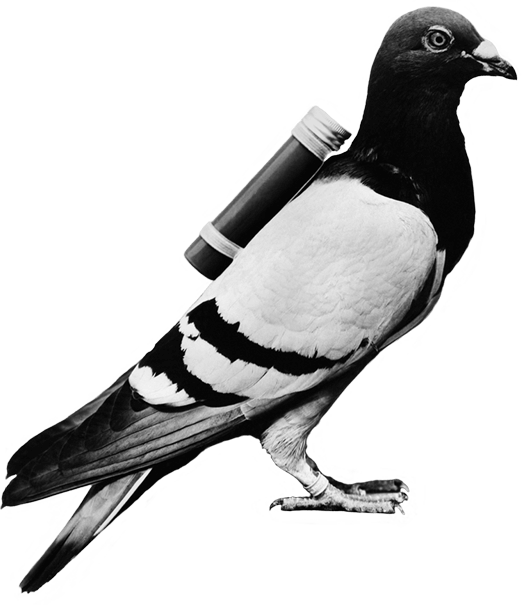 Email carrier pigeon